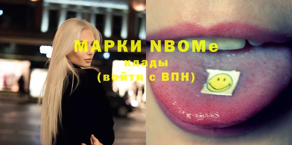 apvp Горняк