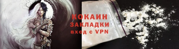 прущие грибы Вяземский