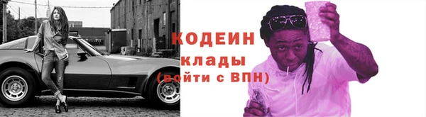 прущие грибы Вяземский