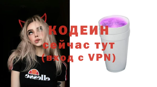 прущие грибы Вяземский