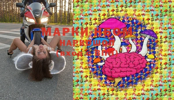 apvp Горняк
