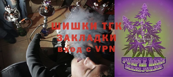 прущие грибы Вяземский