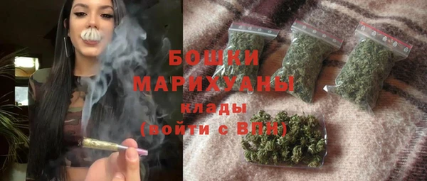 apvp Горняк
