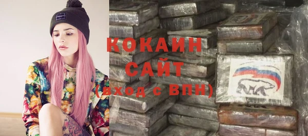 прущие грибы Вяземский